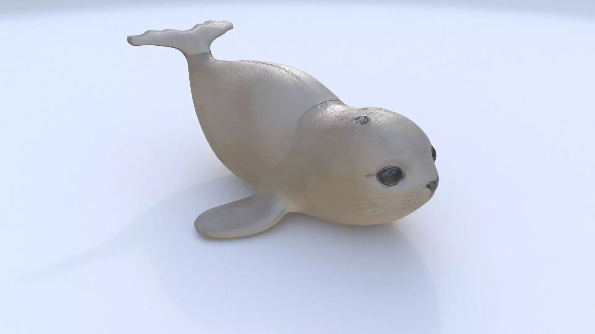 Seal 1 3D model_0