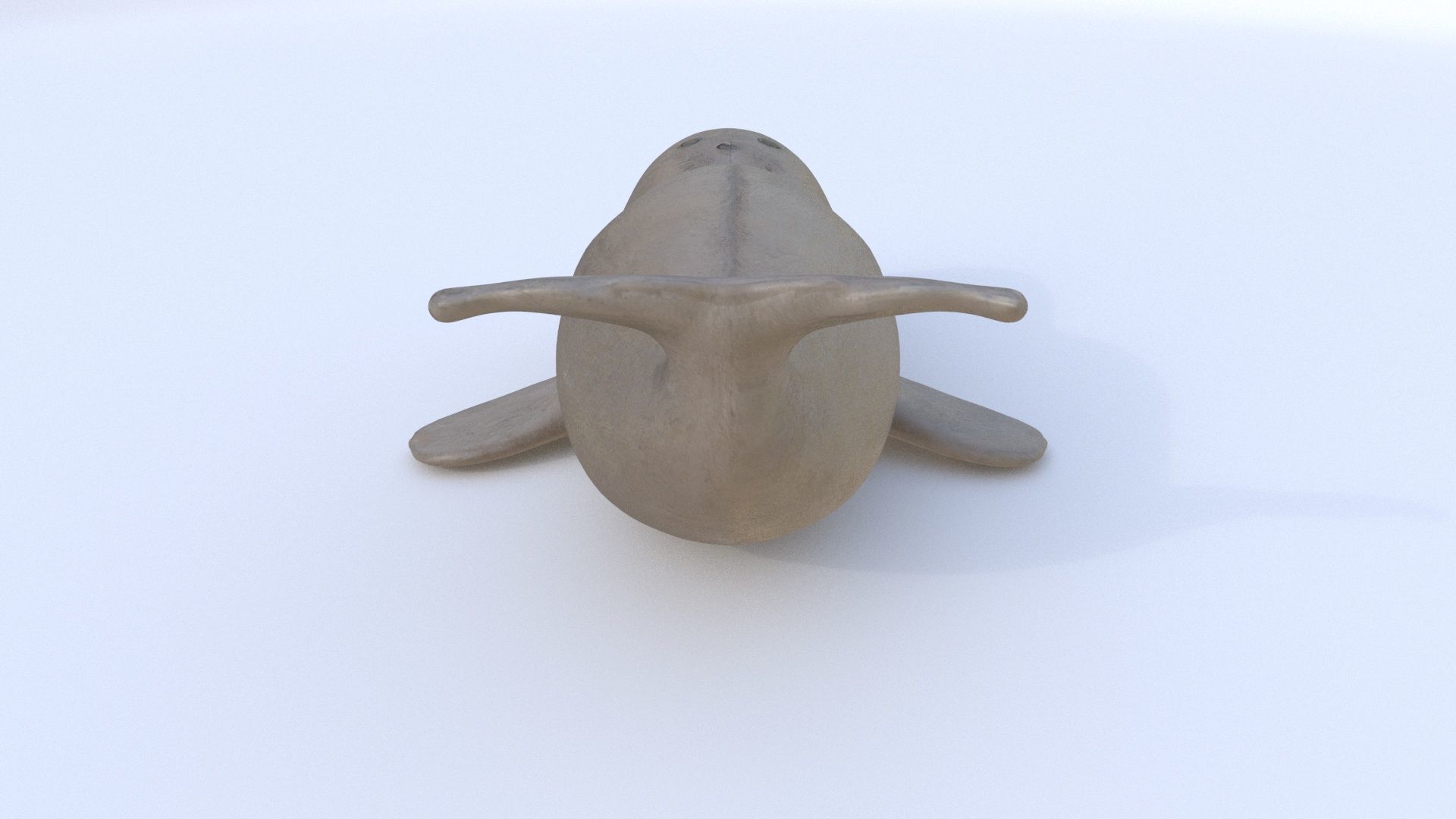 Seal 1 3D model_4