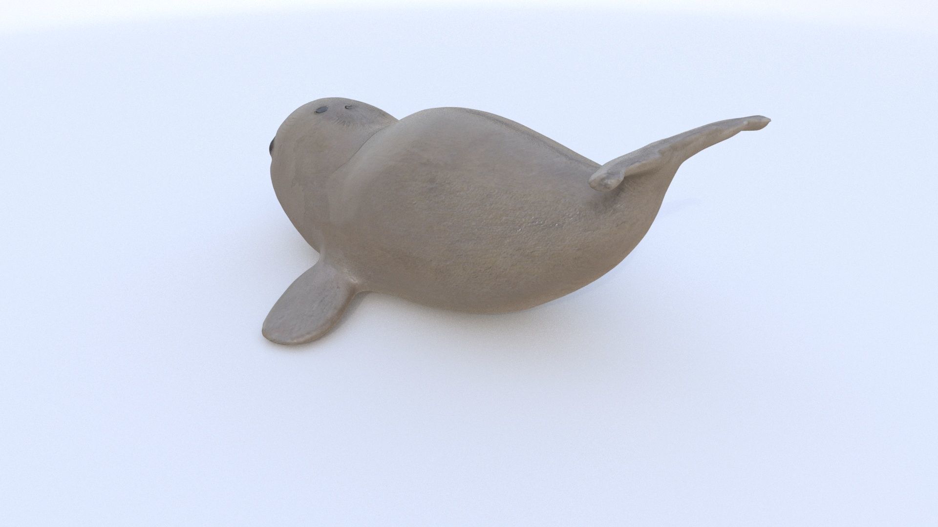 Seal 1 3D model_3