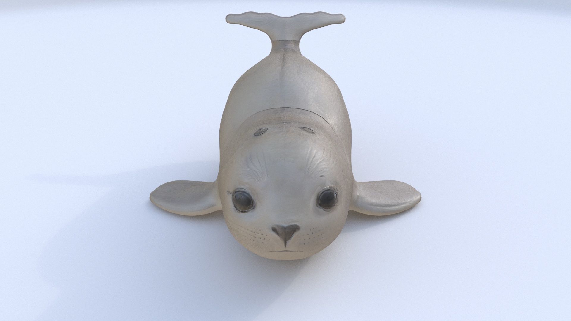 Seal 1 3D model_1