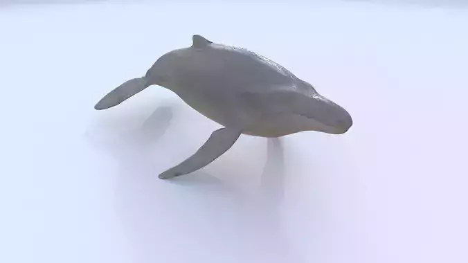 Whale 1