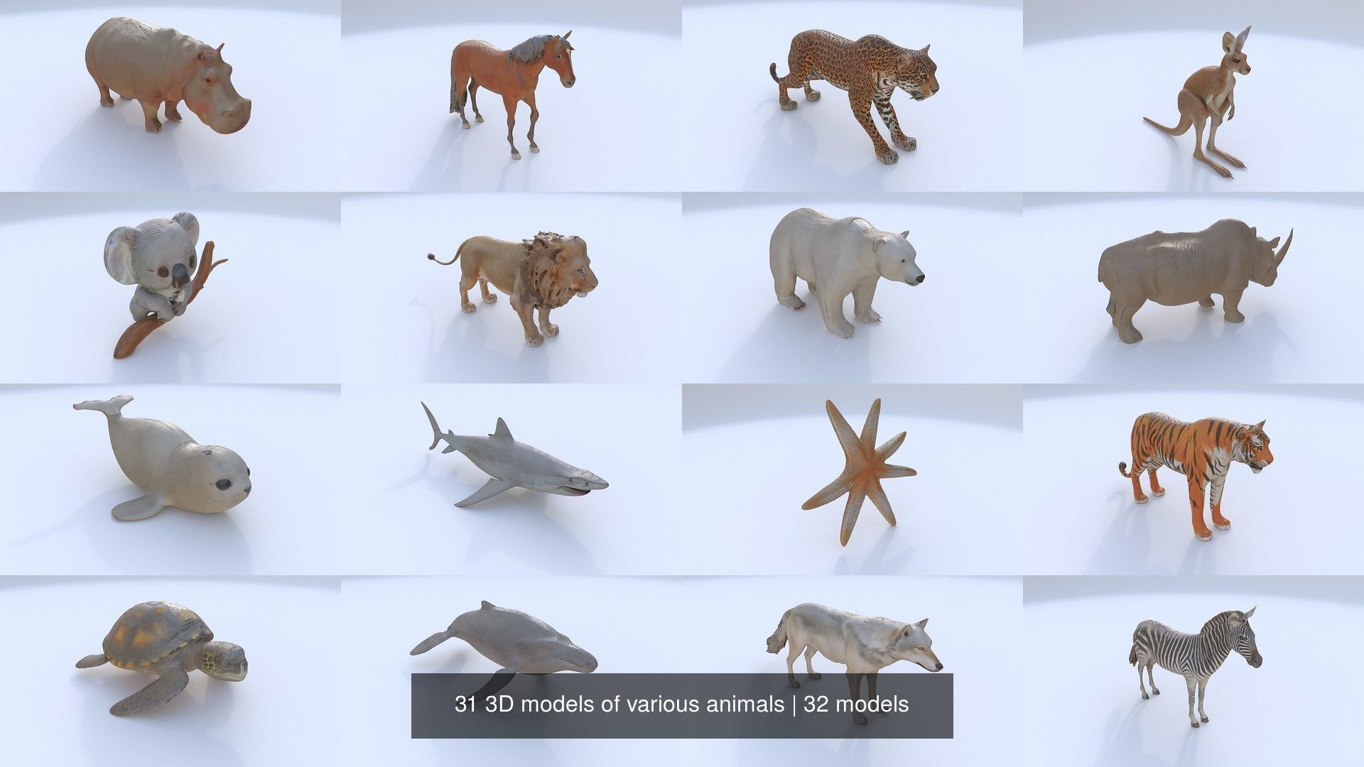31 3D models of various animals 3D Model Collection_2