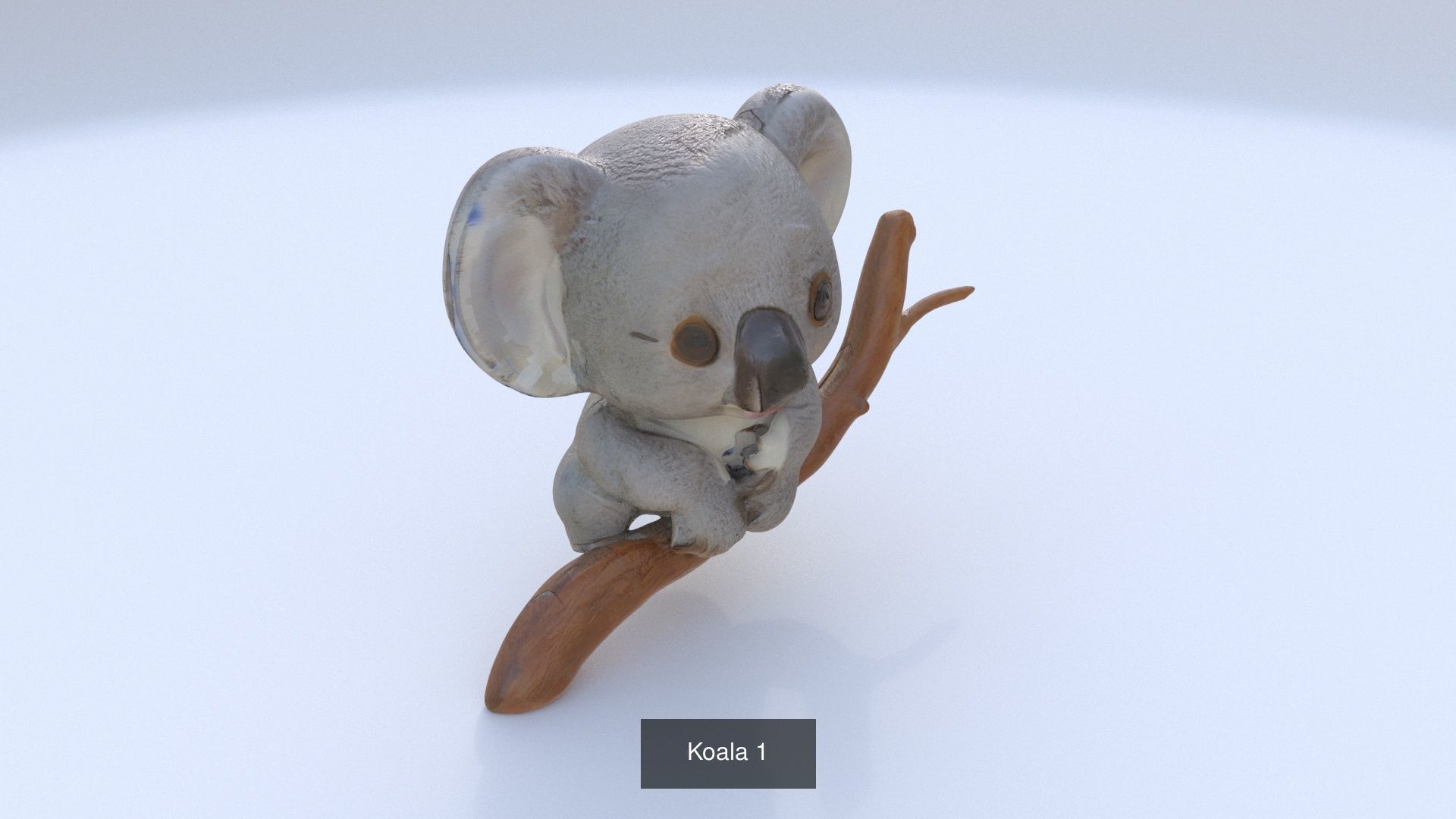 31 3D models of various animals 3D Model Collection_23