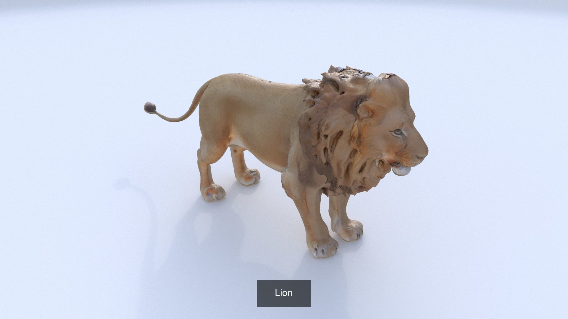 31 3D models of various animals 3D Model Collection_24
