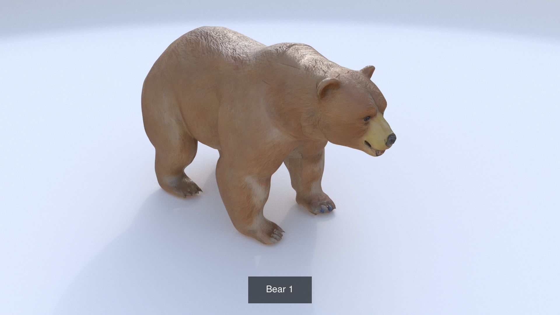 31 3D models of various animals 3D Model Collection_7