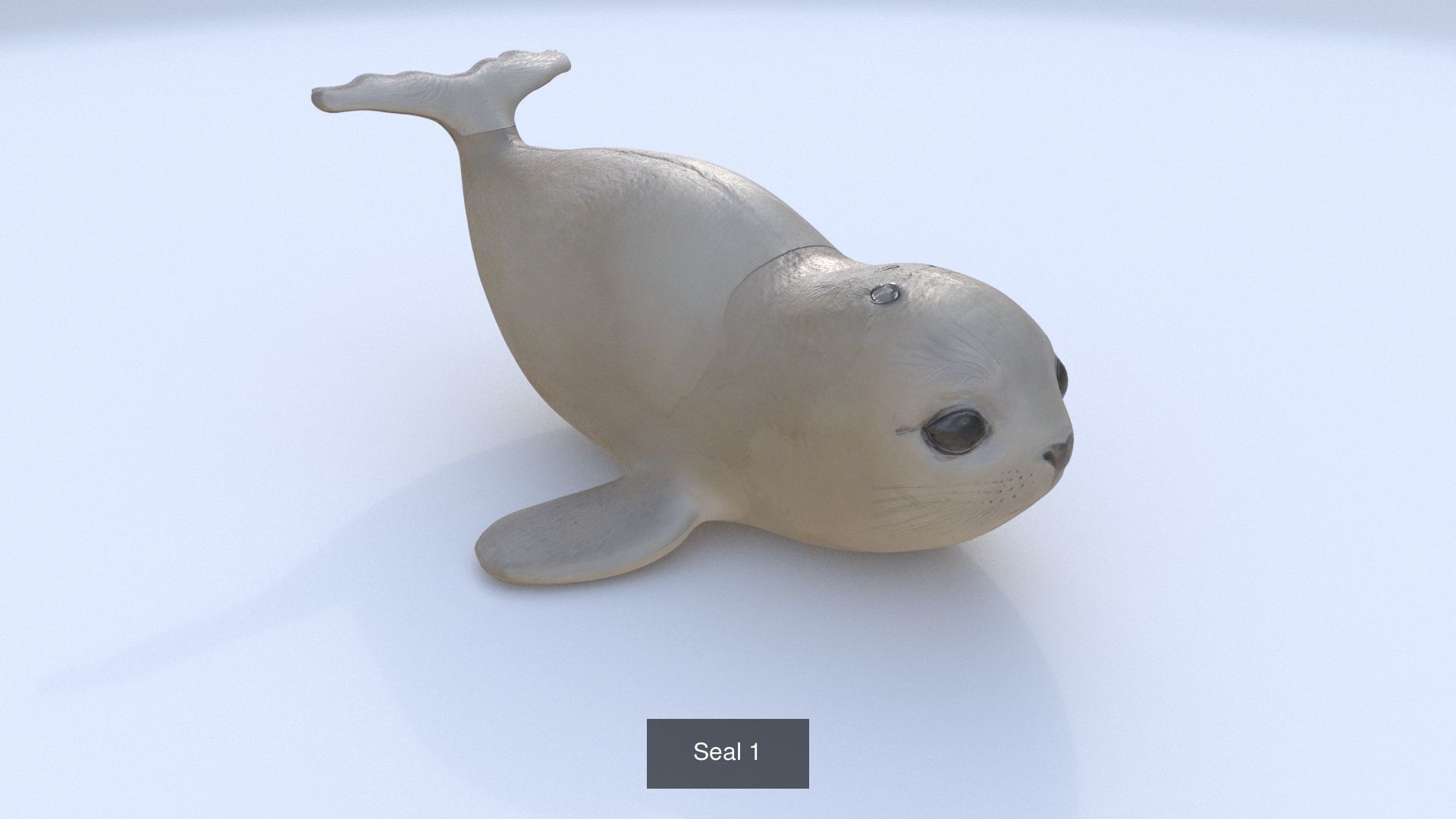 31 3D models of various animals 3D Model Collection_27
