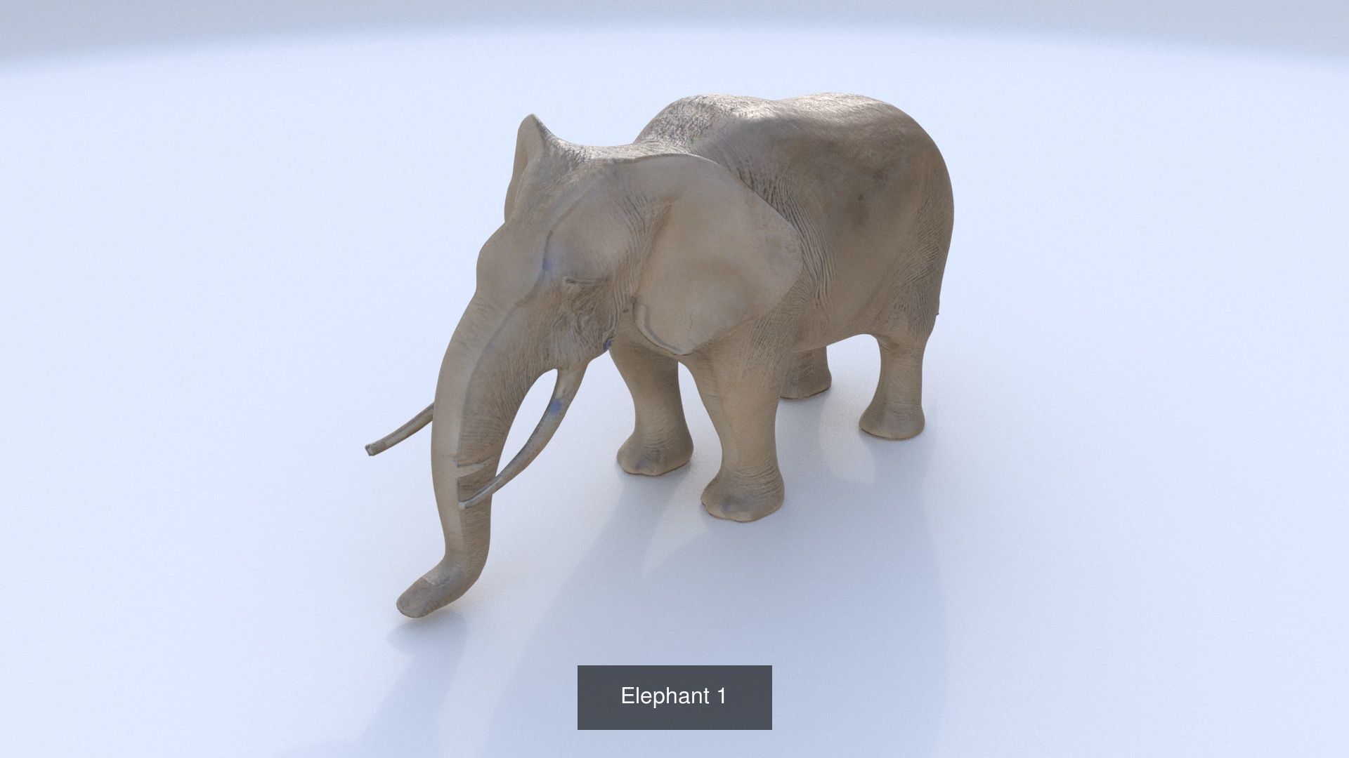 31 3D models of various animals 3D Model Collection_14
