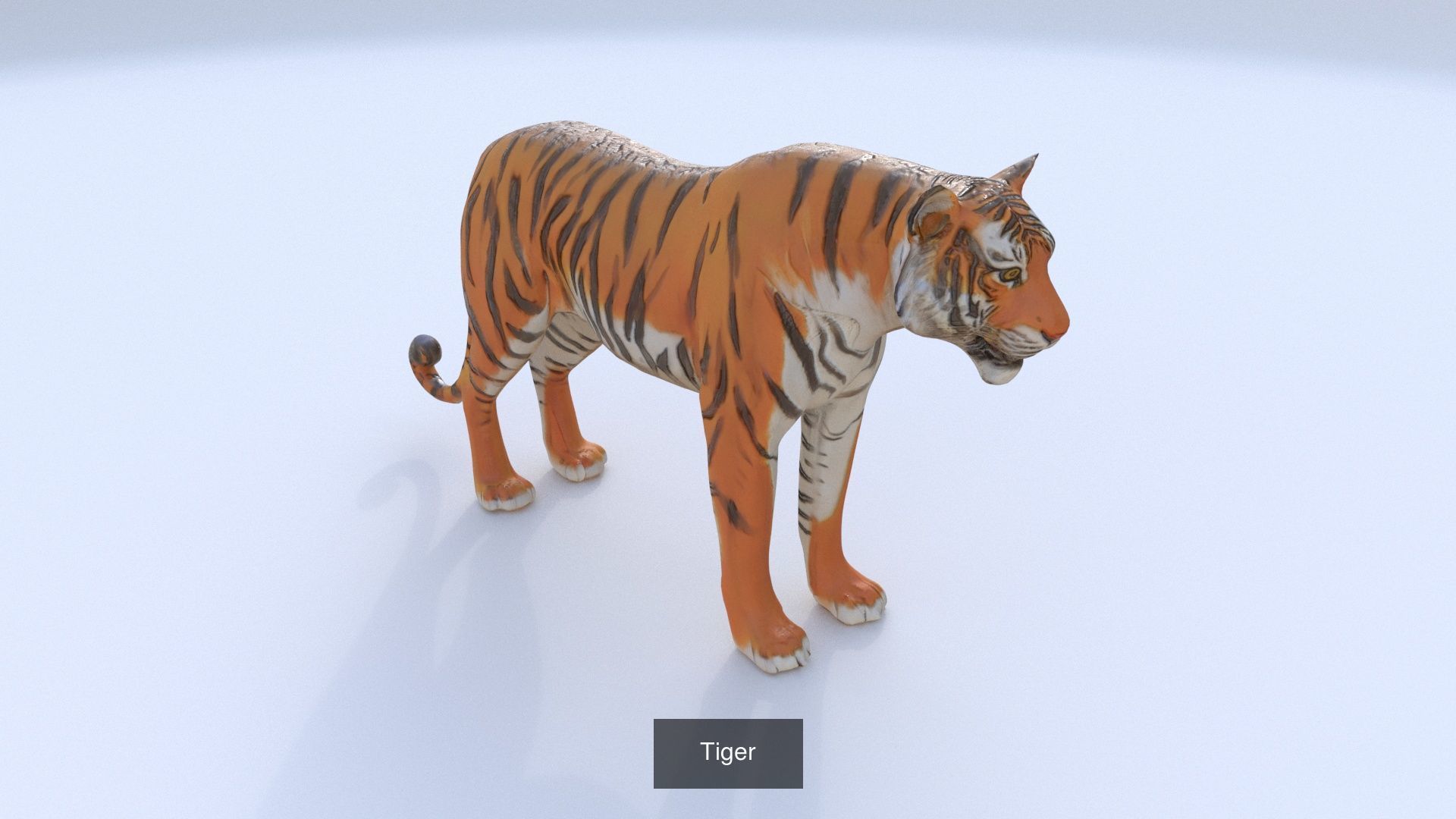 31 3D models of various animals 3D Model Collection_30