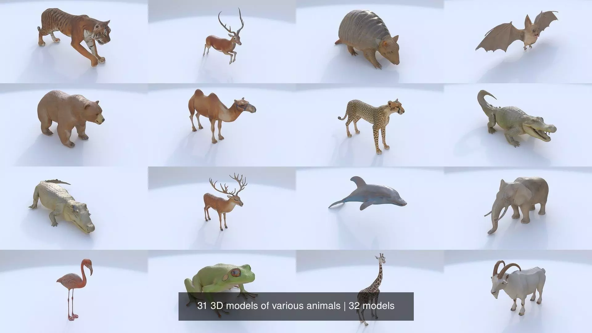 31 3D models of various animals 3D Model Collection_0