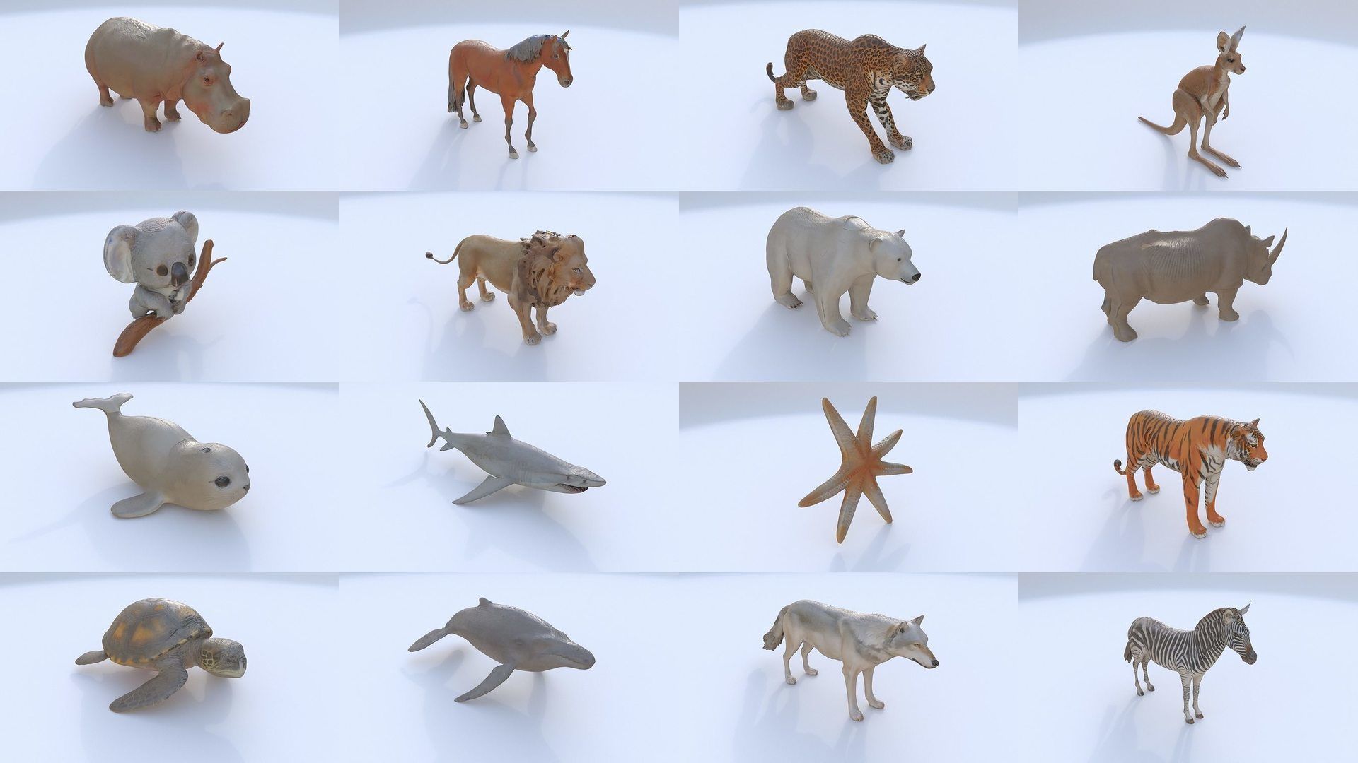 31 3D models of various animals 3D Model Collection_1