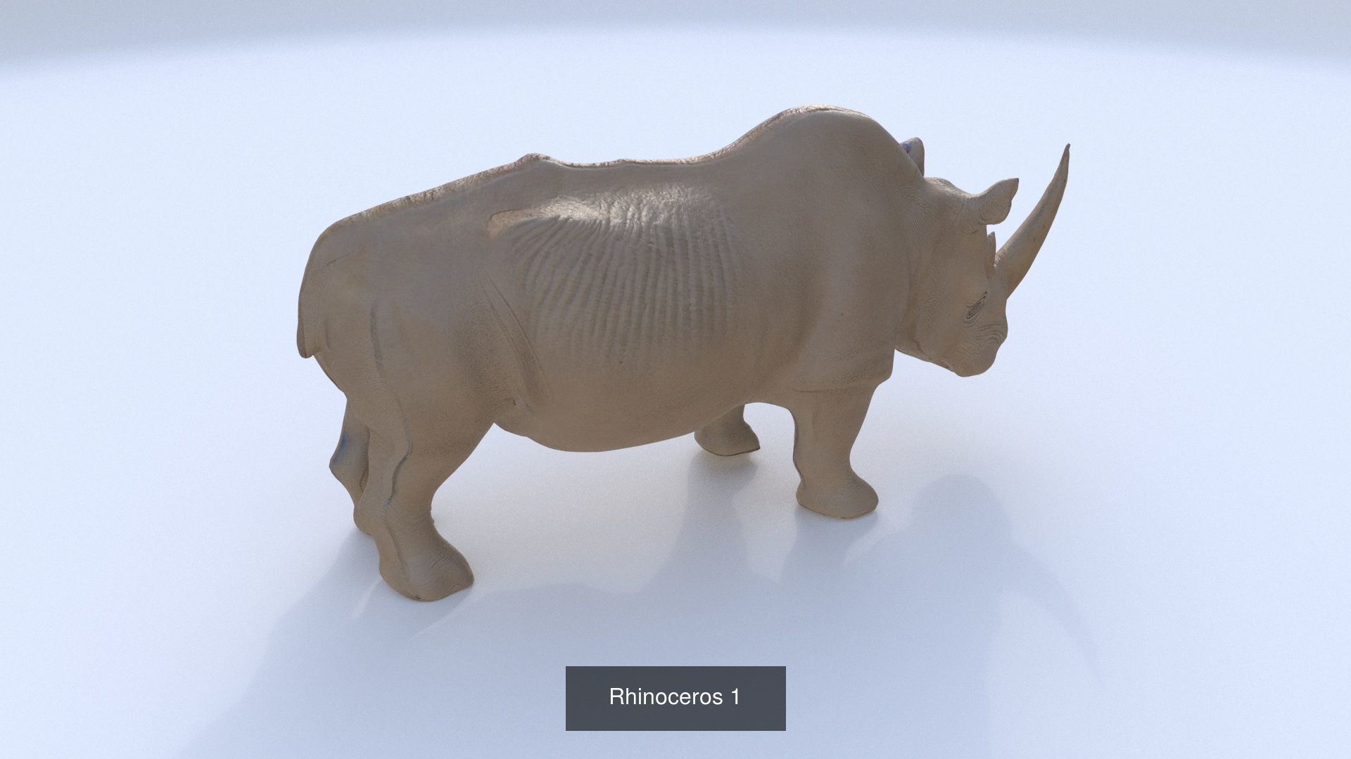 31 3D models of various animals 3D Model Collection_26