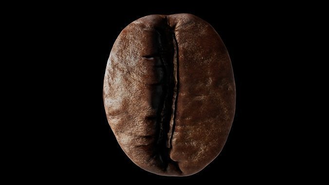 Coffee Beans 3d model realistic  coffee seeds  3D model