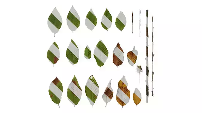 Anydrafts Carpinus turczaninowii Leaf 02