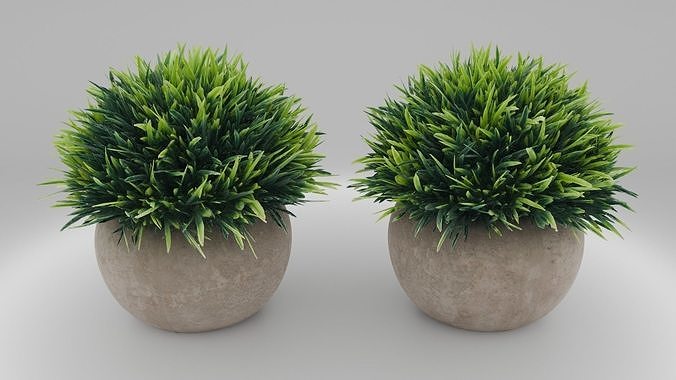 Desk Plant 3D model