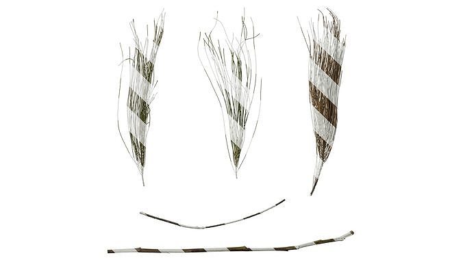 Anydrafts Casuarina equisetifolia Leaf 01 Texture