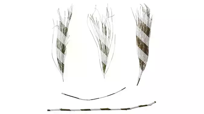 Anydrafts Casuarina equisetifolia Leaf 01 Texture