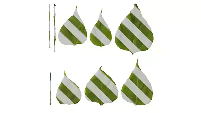 Anydrafts Catalpa bungei Leaf 01