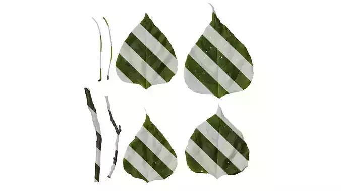 Anydrafts Catalpa bungei Leaf 02