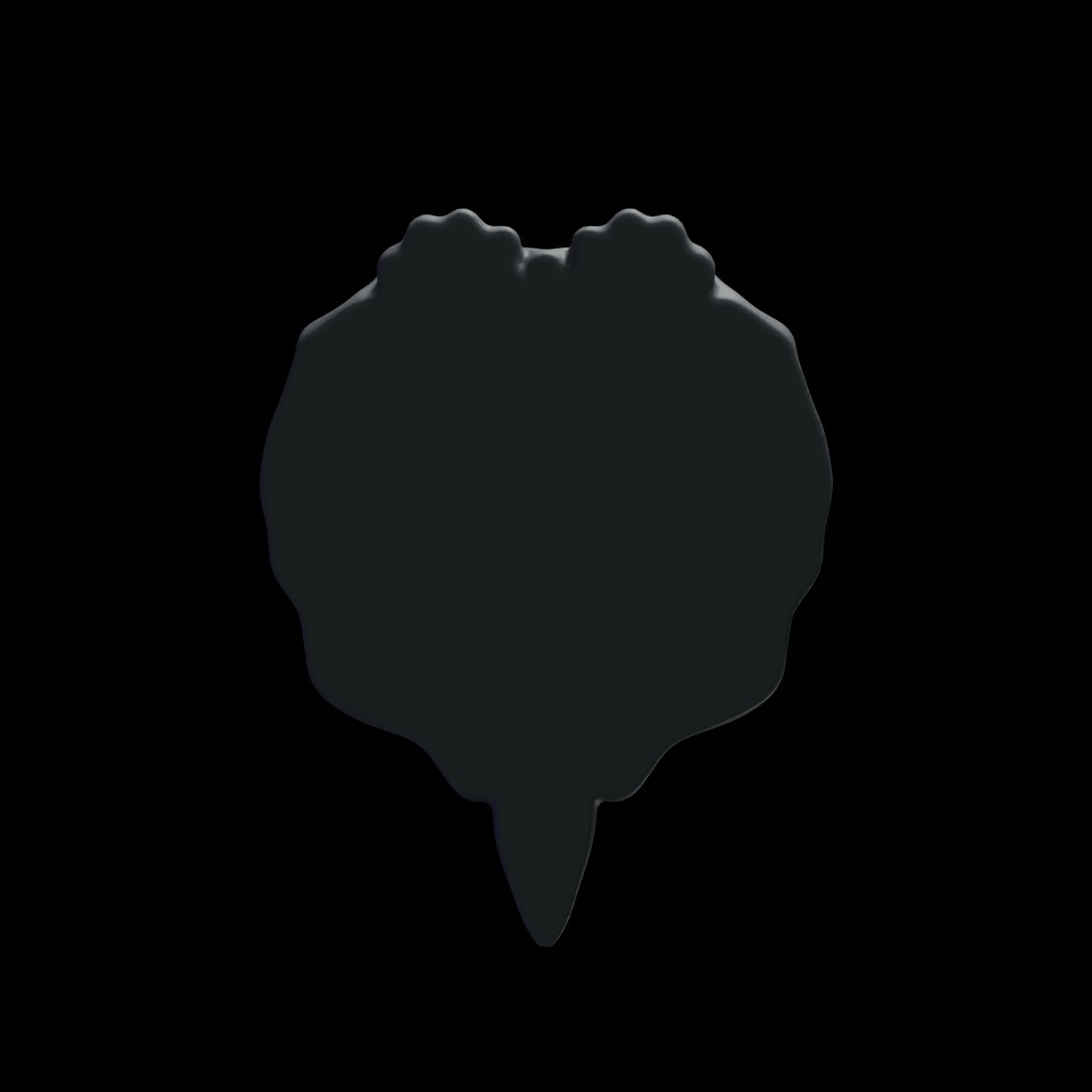 Cat Wizard 3D print model 3D print model_11