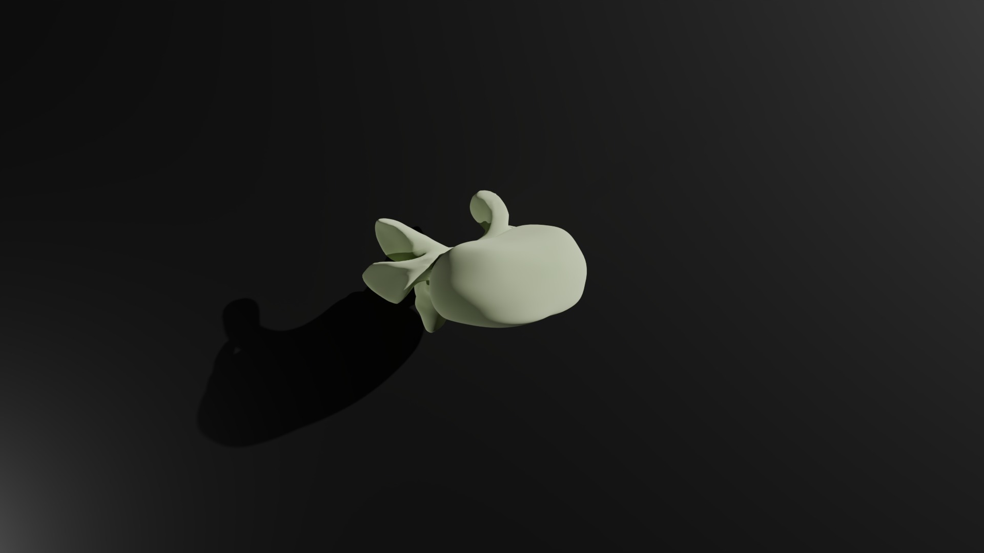Lumbar vertebra 3D model_1