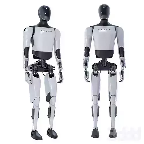 Teslabot Optimus 3D model