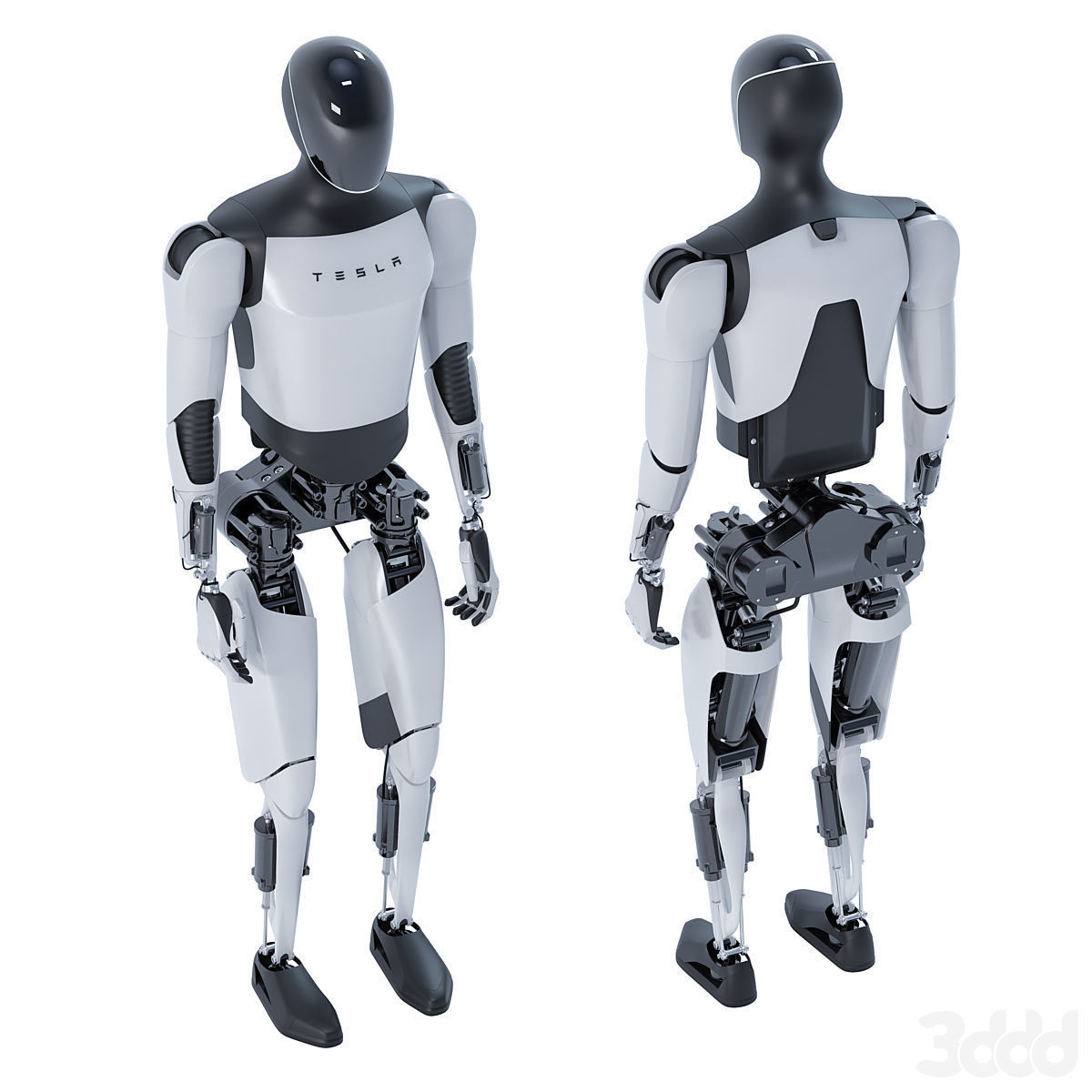 Teslabot Optimus 3D model_2