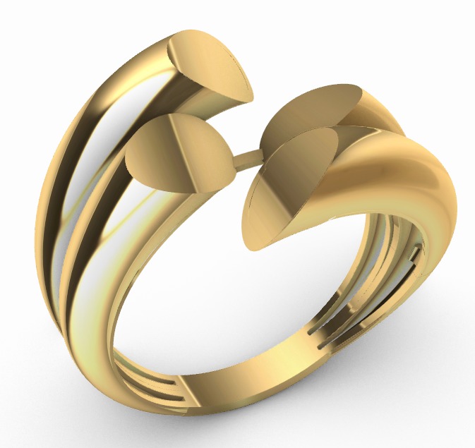 Modern 2 pieces rings  3D Print Models 3D print model_1