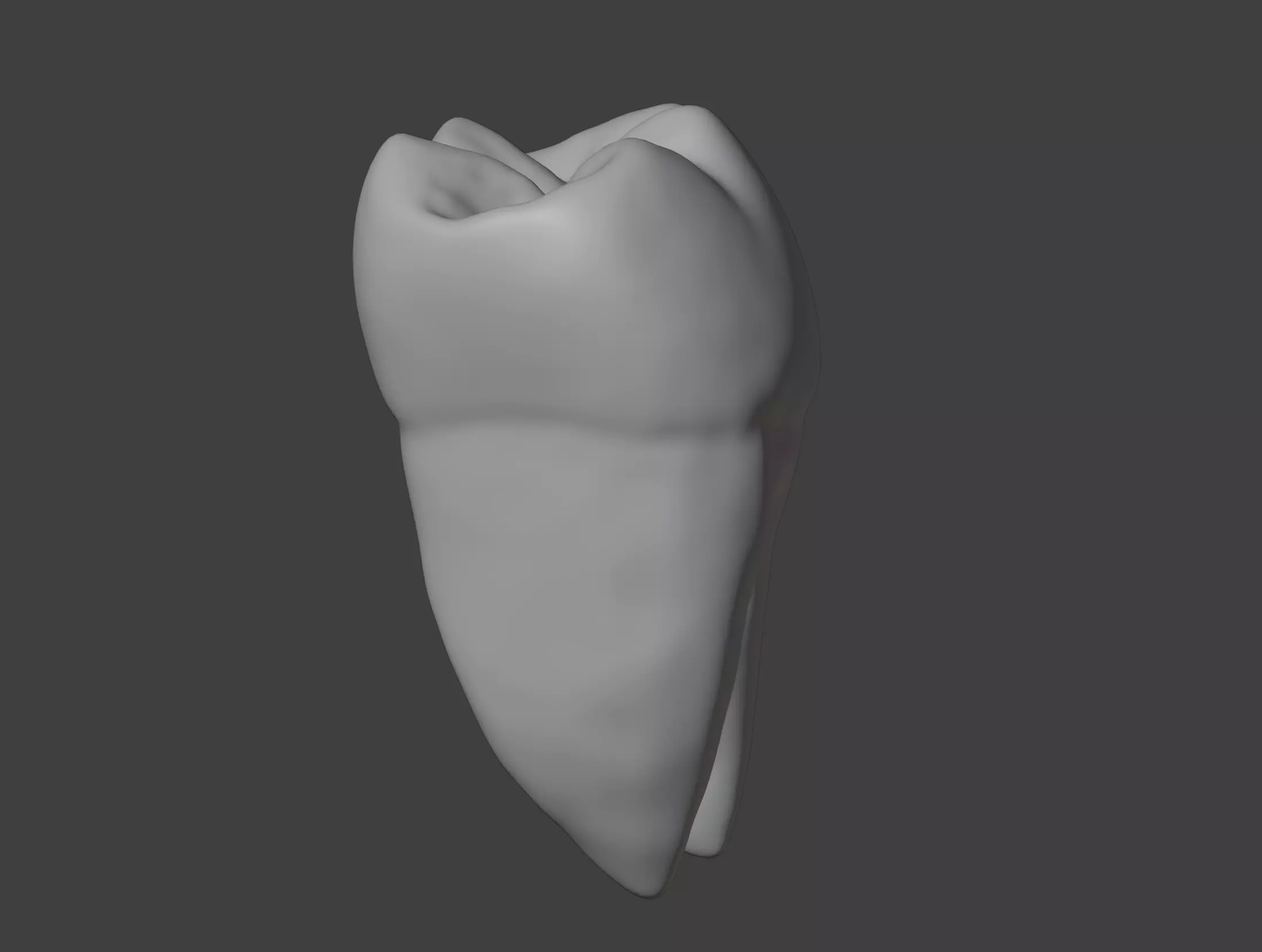3D Model of Mandibular First Molar Anatomy 3D print model_0