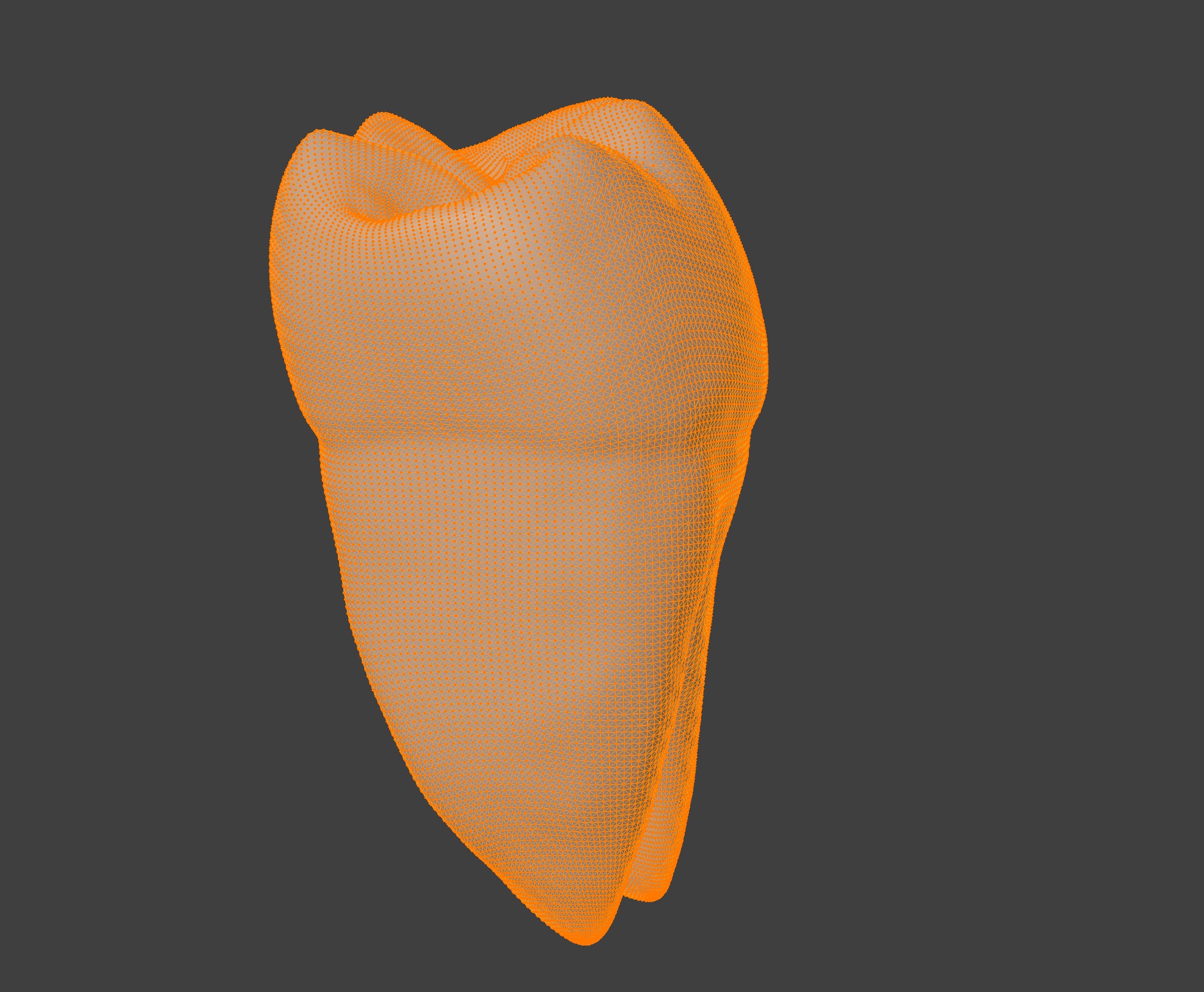 3D Model of Mandibular First Molar Anatomy 3D print model_1