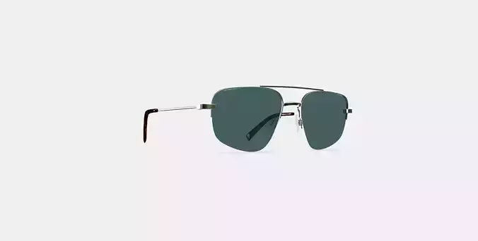 Julio Sunglasses in Polished Silver 3D model