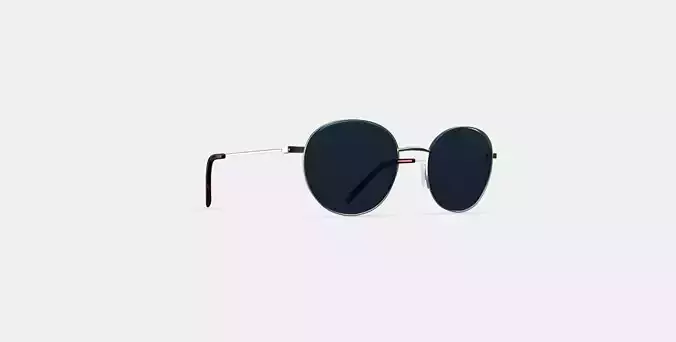 Merrick Sunglasses in Polished Silver