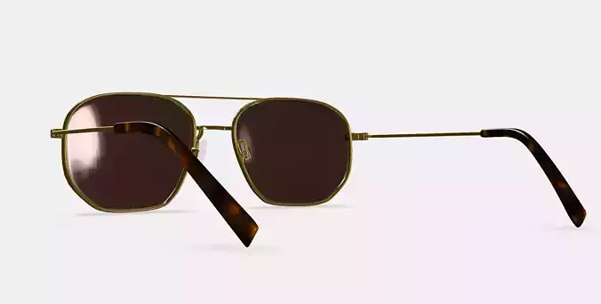 Aram Sunglasses in Polished Gold 3D model