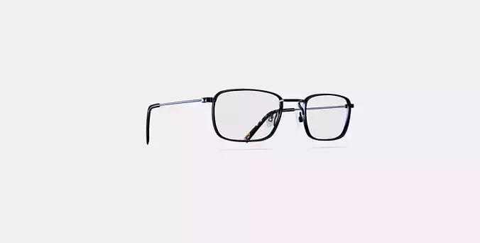 Braswell Eyeglasses in Brushed Ink