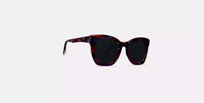 Augusta Sunglasses in Confetti Tortoise 3D model