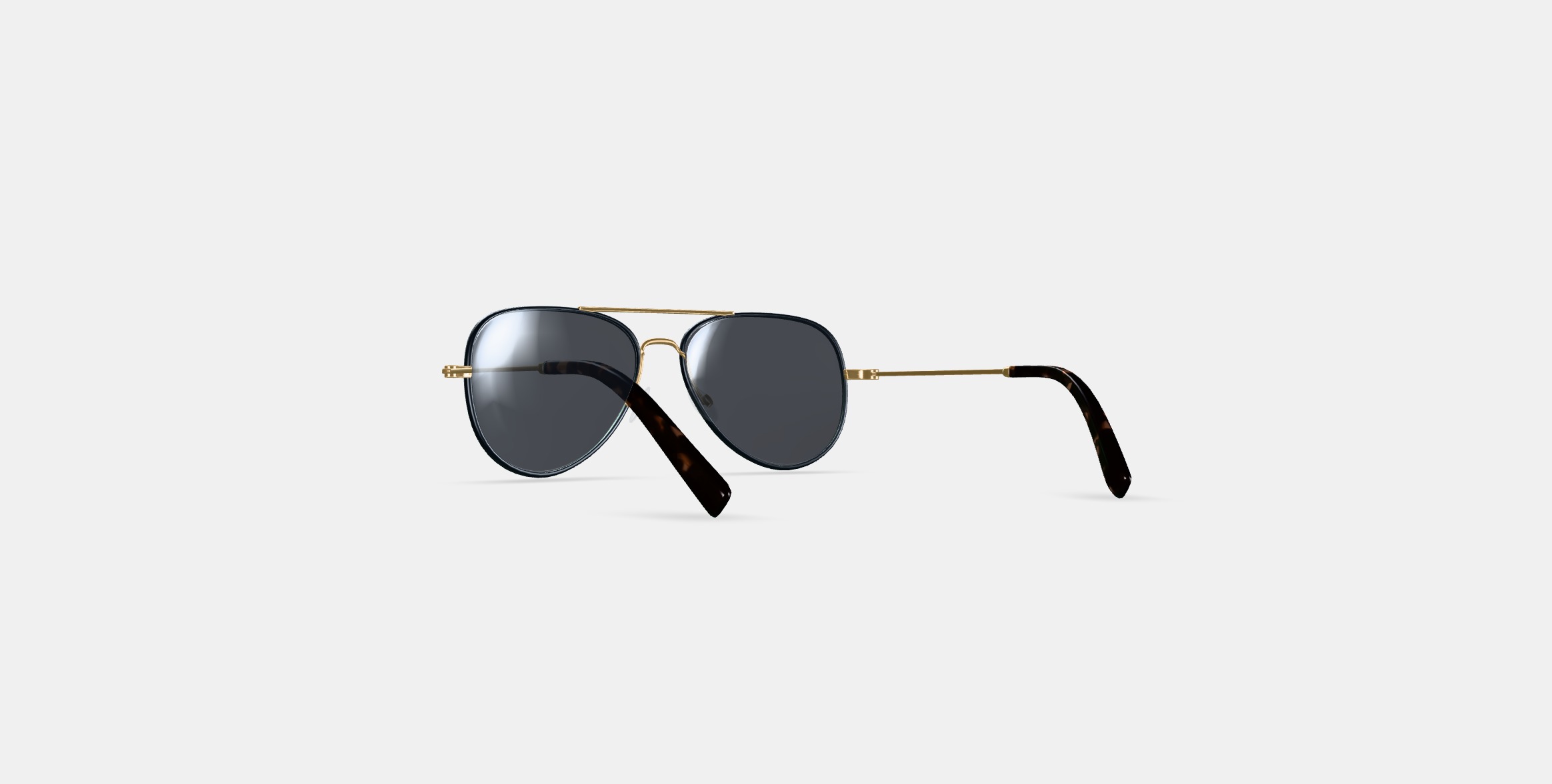 Raider Sunglasses in Brushed Ink with Polished Gold 3D model_16