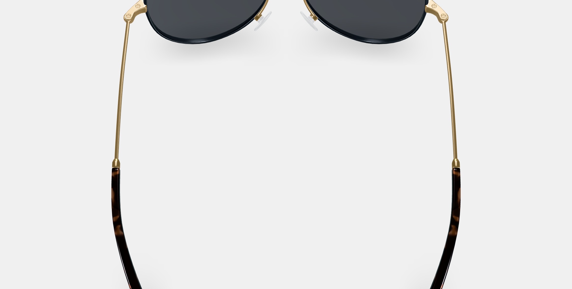 Raider Sunglasses in Brushed Ink with Polished Gold 3D model_3