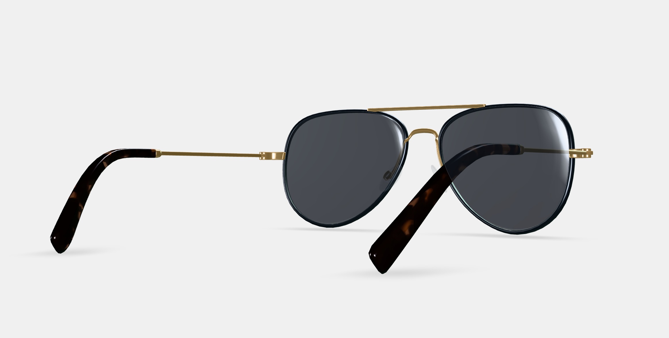 Raider Sunglasses in Brushed Ink with Polished Gold 3D model_6