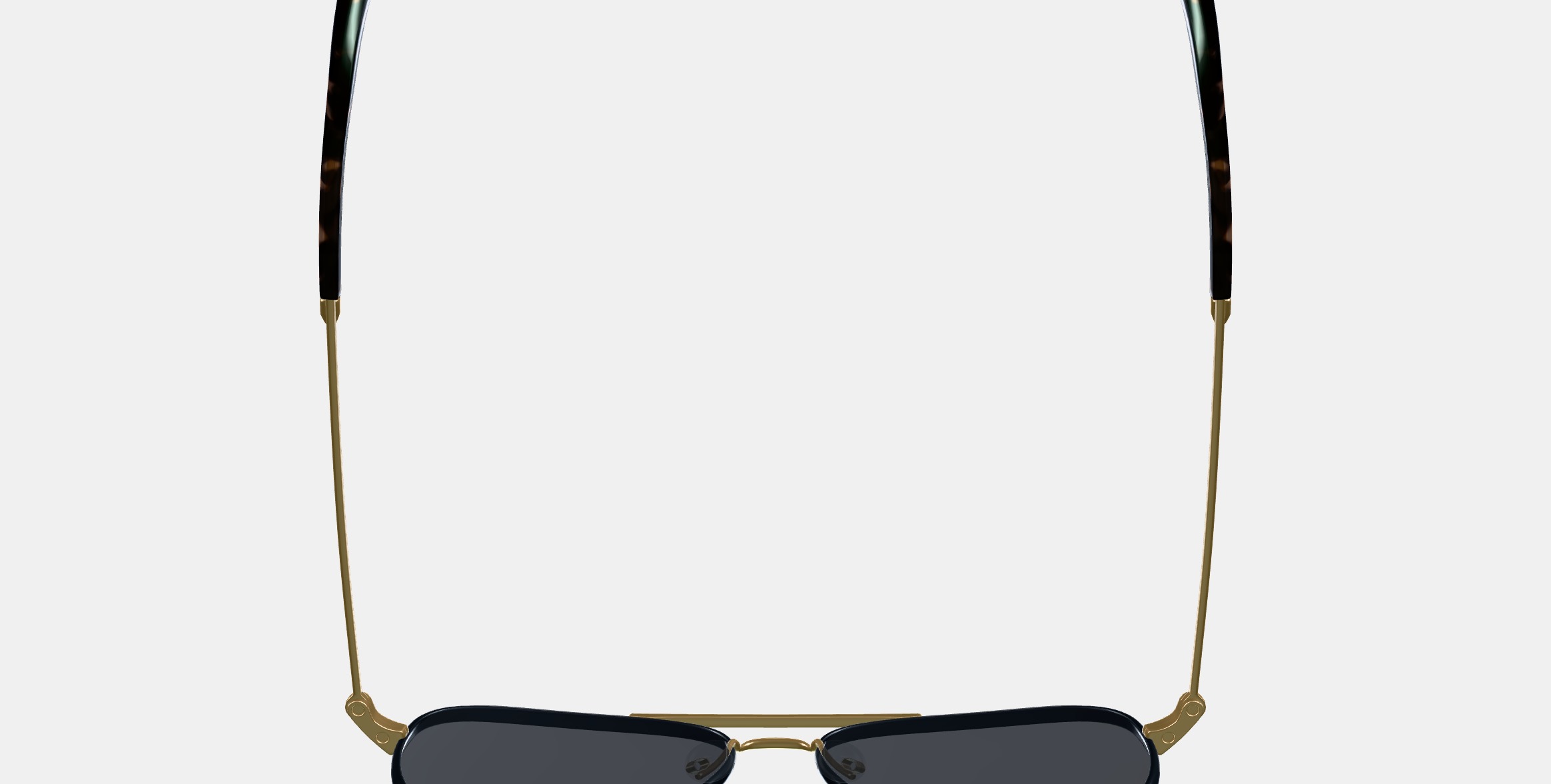 Raider Sunglasses in Brushed Ink with Polished Gold 3D model_8