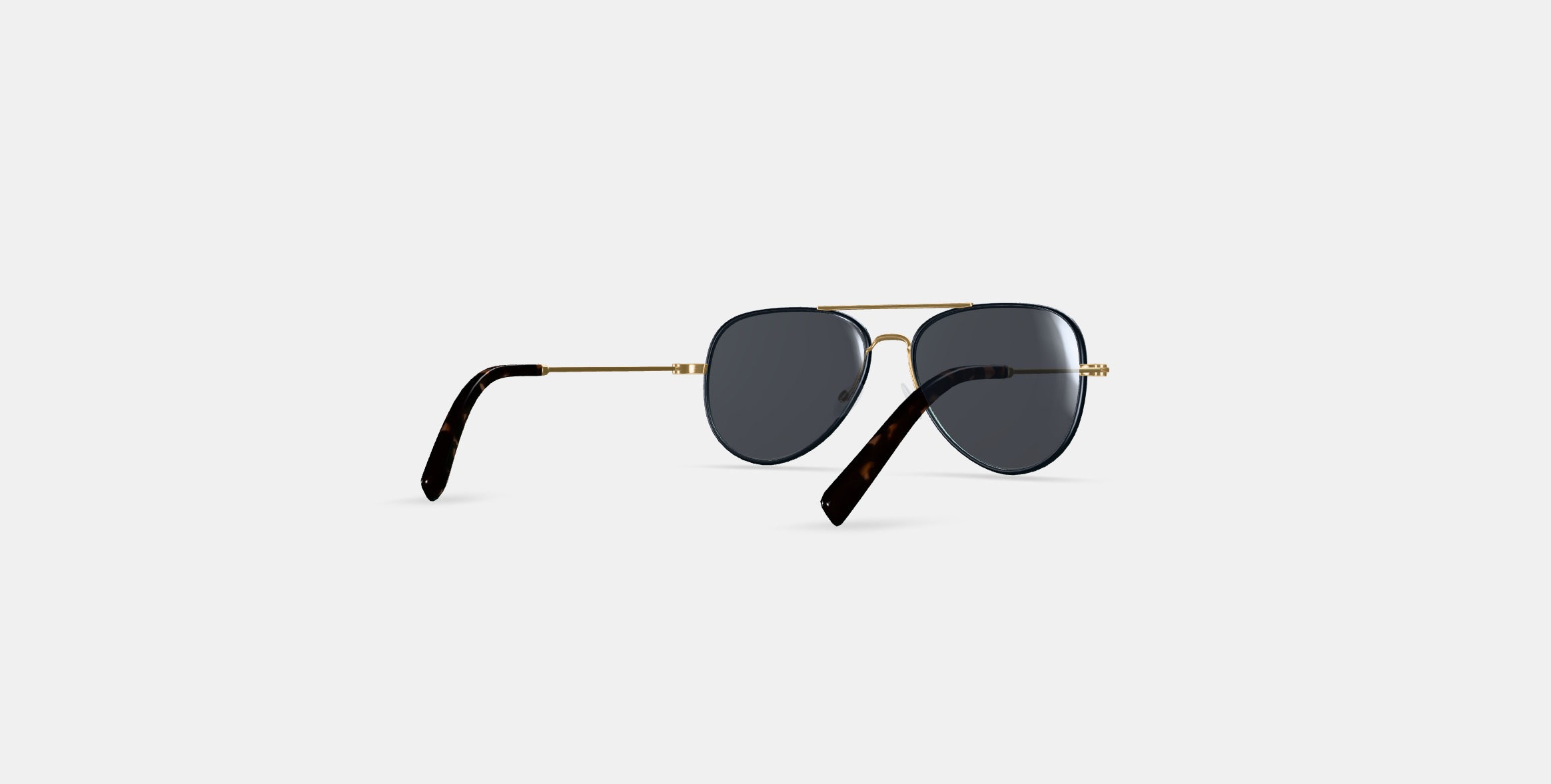 Raider Sunglasses in Brushed Ink with Polished Gold 3D model_4