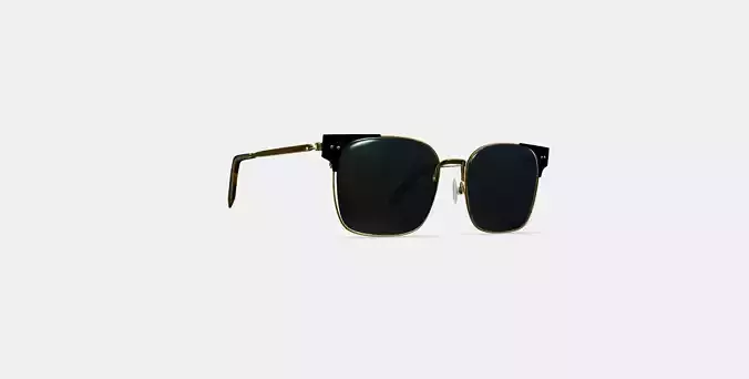 Ramona Sunglasses in Jet Black with Polished Gold