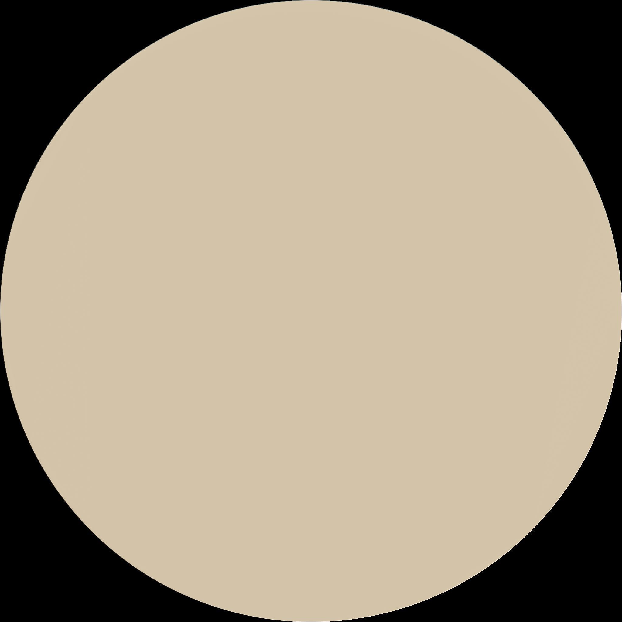 Blossom Harmony Floral Decorative Medallion STL file for CNC Free 3D print model_5