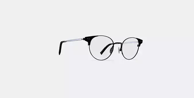 Patel Eyeglasses in Brushed Ink
