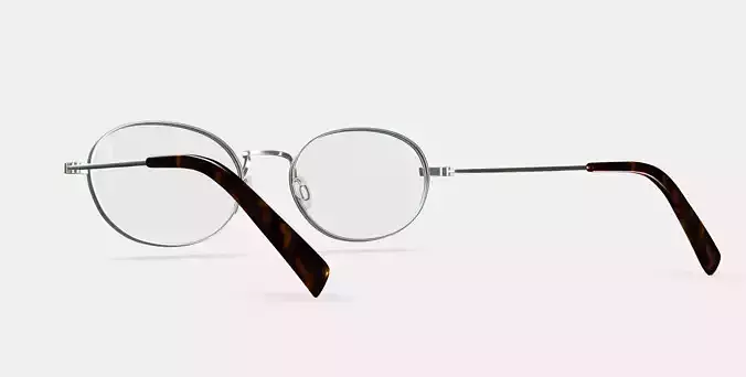 Albie Eyeglasses in Polished Silver 3D model