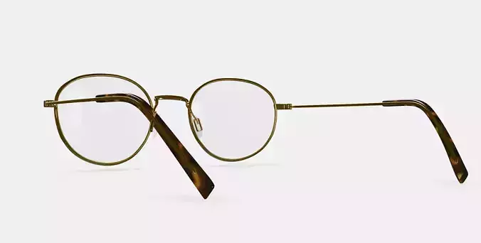 Rafael Eyeglasses in Polished Gold 3D model