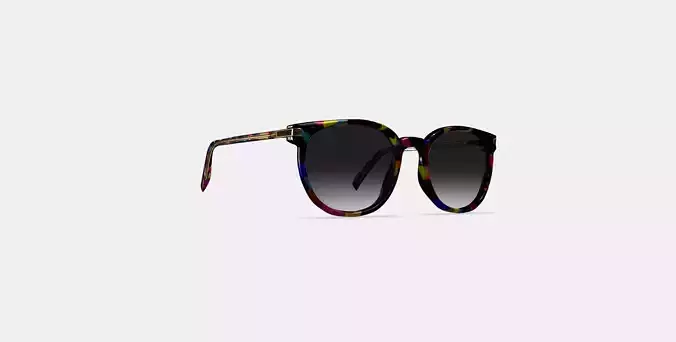 Gillian Sunglasses in Confetti Tortoise with Polished Gold 3D model