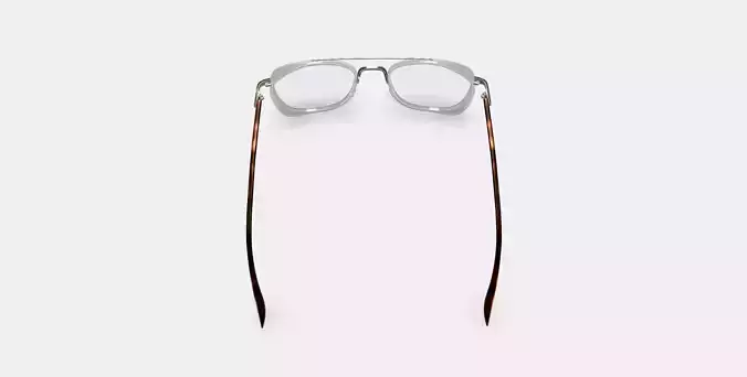 Earle Eyeglasses in Crystal with Riesling 3D model