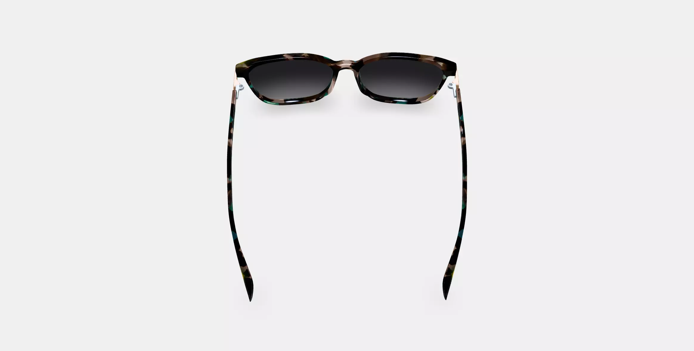 Esme Sunglasses in Aventurine Tortoise with Polished Gold 3D model_0