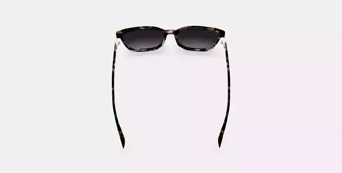 Esme Sunglasses in Aventurine Tortoise with Polished Gold