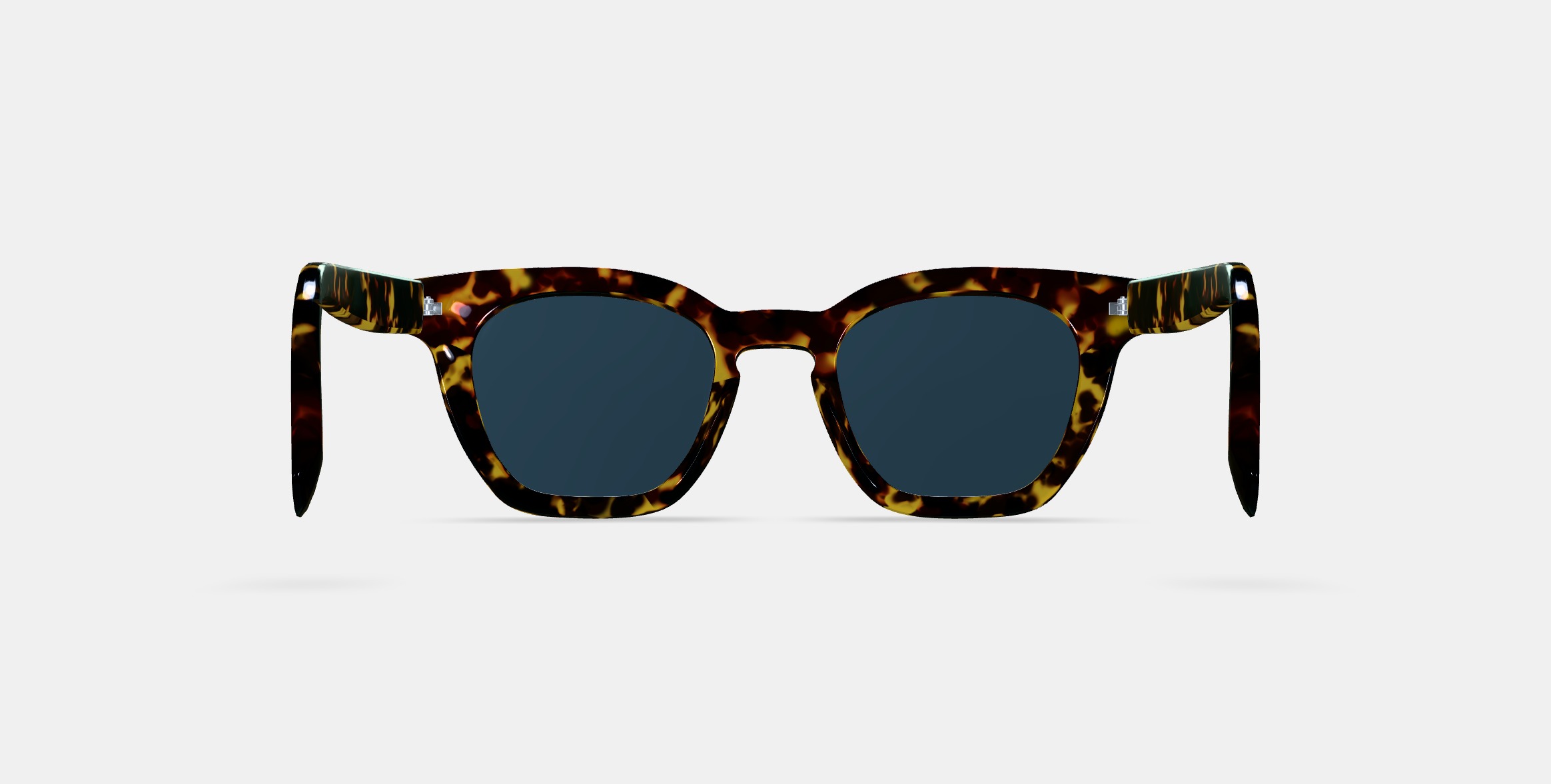 Terrell Sunglasses in Black Oak Tortoise 3D model_16