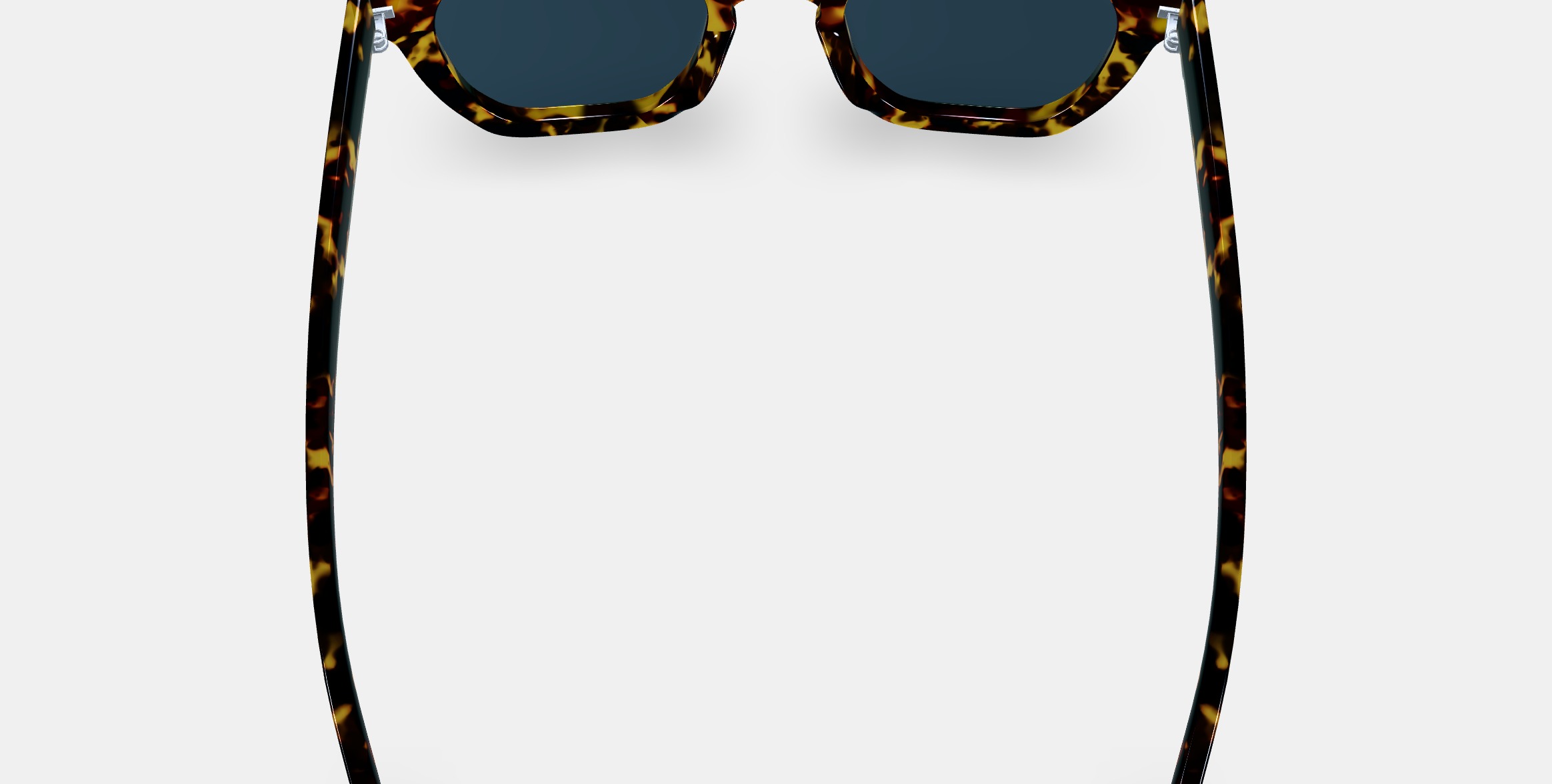 Terrell Sunglasses in Black Oak Tortoise 3D model_5